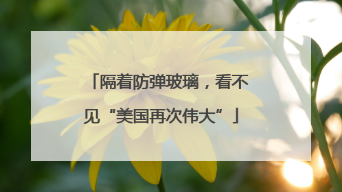 隔着防弹玻璃，看不见“美国再次伟大”