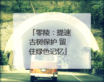 零陵：提速古树保护 留住绿色记忆