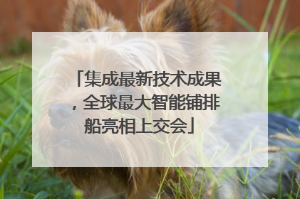 集成最新技术成果，全球最大智能铺排船亮相上交会