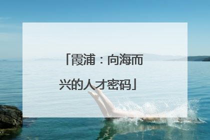霞浦：向海而兴的人才密码