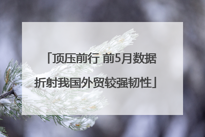 顶压前行 前5月数据折射我国外贸较强韧性