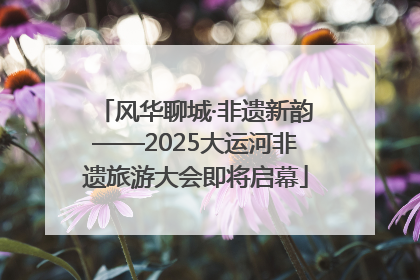 风华聊城·非遗新韵——2025大运河非遗旅游大会即将启幕
