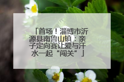 首场！淄博市沂源县南鲁山镇：亲子定向赛让爱与汗水一起“闯关”