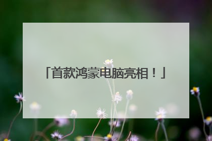 首款鸿蒙电脑亮相！