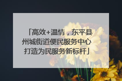 高效+温情，东平县州城街道便民服务中心打造为民服务新标杆