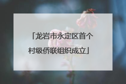 龙岩市永定区首个村级侨联组织成立