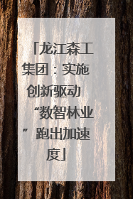 龙江森工集团：实施创新驱动 “数智林业”跑出加速度