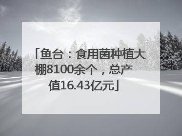 鱼台：食用菌种植大棚8100余个，总产值16.43亿元