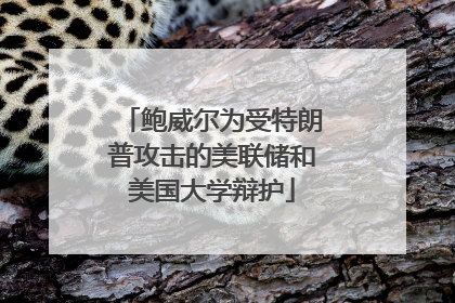 鲍威尔为受特朗普攻击的美联储和美国大学辩护