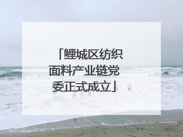 鲤城区纺织面料产业链党委正式成立