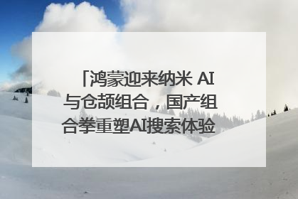 鸿蒙迎来纳米 AI 与仓颉组合，国产组合拳重塑AI搜索体验｜新经济观察