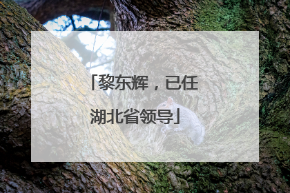 黎东辉，已任湖北省领导