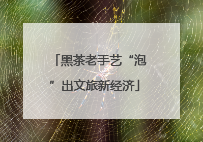 黑茶老手艺“泡”出文旅新经济