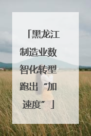 黑龙江制造业数智化转型跑出“加速度”