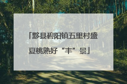 黟县碧阳镇五里村盛夏桃熟好“丰”景