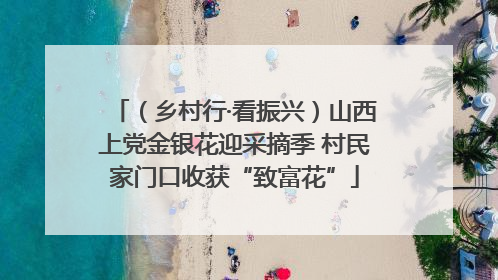（乡村行·看振兴）山西上党金银花迎采摘季 村民家门口收获“致富花”