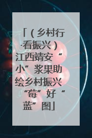 （乡村行·看振兴）江西靖安“小”浆果助绘乡村振兴“莓”好“蓝”图