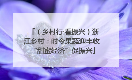（乡村行·看振兴）浙江乡村：时令果蔬迎丰收 “甜蜜经济”促振兴