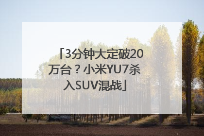 3分钟大定破20万台？小米YU7杀入SUV混战