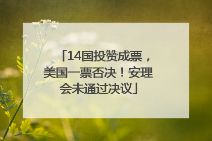 14国投赞成票，美国一票否决！安理会未通过决议