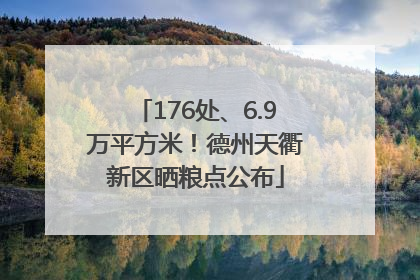 176处、6.9万平方米！德州天衢新区晒粮点公布