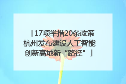 17项举措20条政策 杭州发布建设人工智能创新高地新“路径”