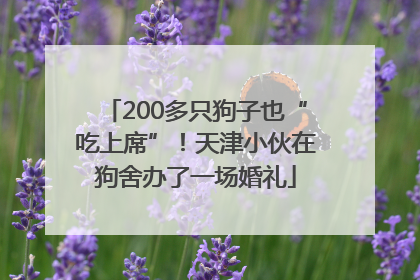 200多只狗子也“吃上席”！天津小伙在狗舍办了一场婚礼