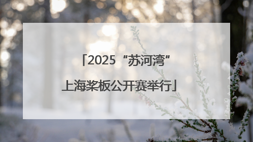 2025“苏河湾”上海桨板公开赛举行