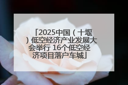 2025中国（十堰）低空经济产业发展大会举行 16个低空经济项目落户车城