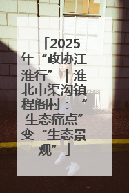 2025年“政协江淮行”｜淮北市渠沟镇程阁村：“生态痛点”变“生态景观”