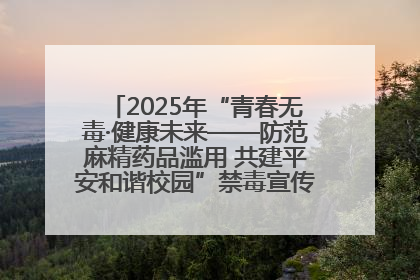 2025年“青春无毒·健康未来——防范麻精药品滥用 共建平安和谐校园”禁毒宣传专题活动在咸宁举行