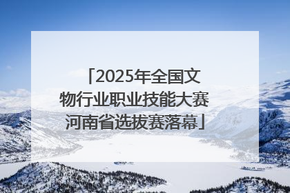 2025年全国文物行业职业技能大赛河南省选拔赛落幕