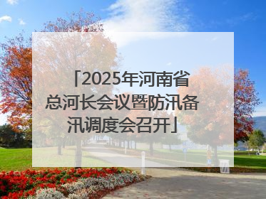 2025年河南省总河长会议暨防汛备汛调度会召开