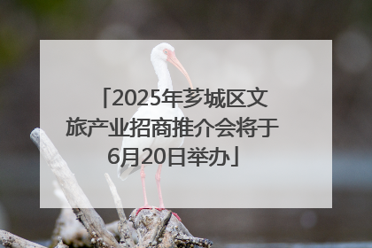 2025年芗城区文旅产业招商推介会将于6月20日举办