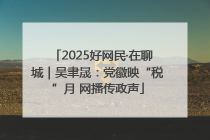 2025好网民·在聊城｜吴聿晟：党徽映“税”月 网播传政声