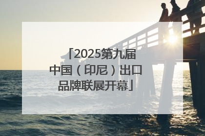 2025第九届中国（印尼）出口品牌联展开幕