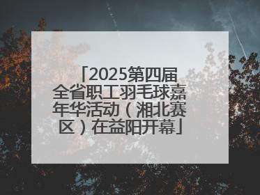 2025第四届全省职工羽毛球嘉年华活动（湘北赛区）在益阳开幕