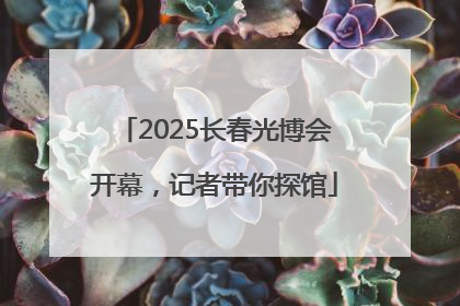 2025长春光博会开幕，记者带你探馆