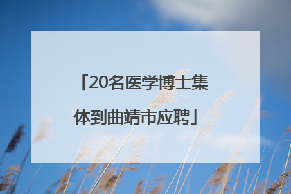 20名医学博士集体到曲靖市应聘
