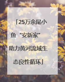 25万余尾小鱼“安新家” 助力黄河流域生态良性循环