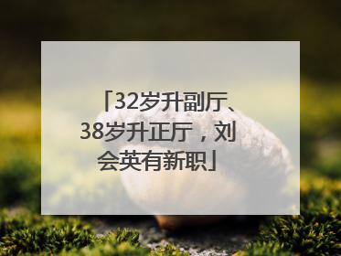 32岁升副厅、38岁升正厅，刘会英有新职