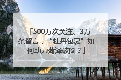 500万次关注、3万条留言，“牡丹包裹”如何助力菏泽破圈？