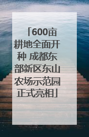 600亩耕地全面开种 成都东部新区东山农场示范园正式亮相