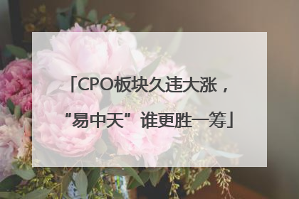 CPO板块久违大涨，“易中天”谁更胜一筹