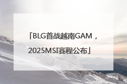 BLG首战越南GAM，2025MSI赛程公布