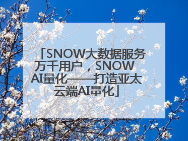 SNOW大数据服务万千用户，SNOW AI量化——打造亚太云端AI量化