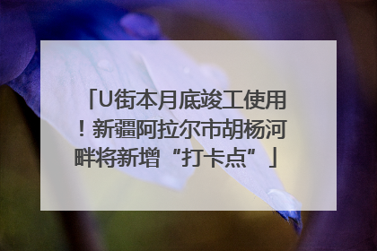 U街本月底竣工使用！新疆阿拉尔市胡杨河畔将新增“打卡点”